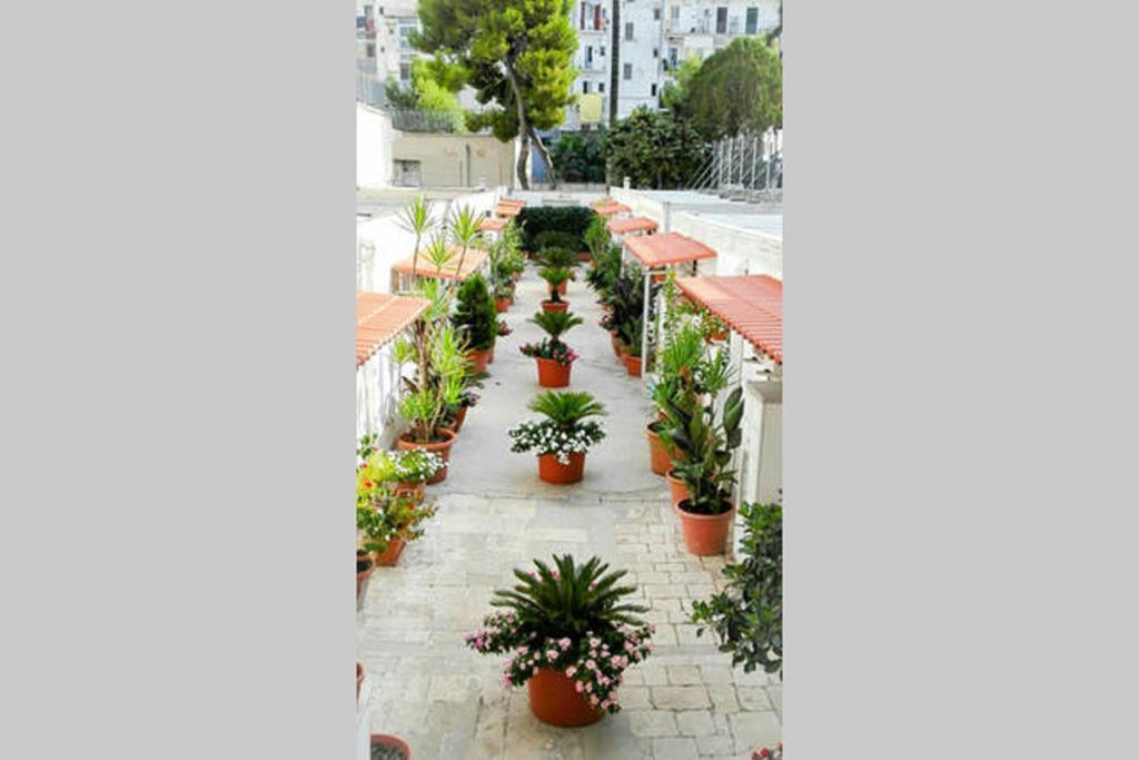 Al Cortile * Bari